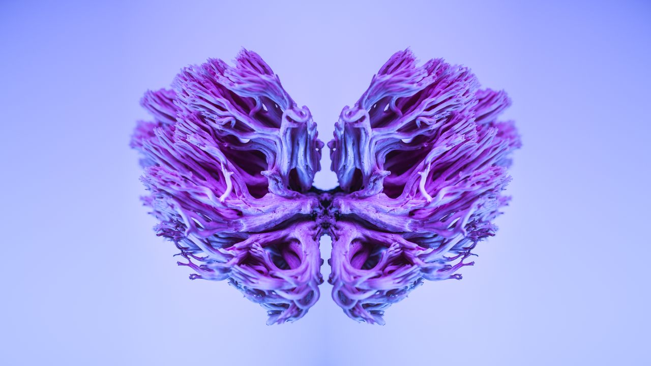 services-img A surreal abstract image showcasing a vibrant purple fungi design, resembling lungs, in vivid colors.