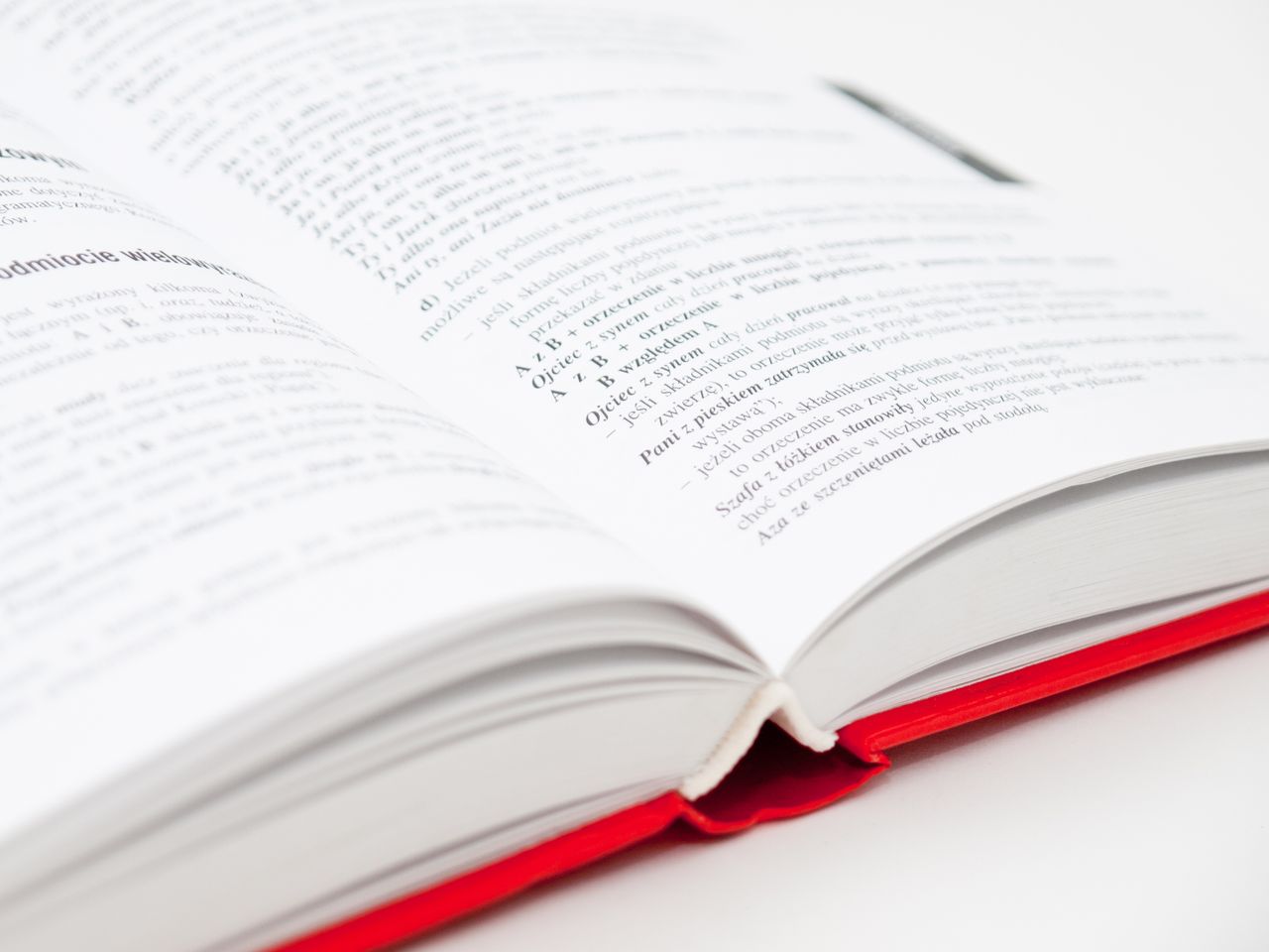 services-02 An open book with a red cover showing pages filled with text, symbolizing knowledge and education.